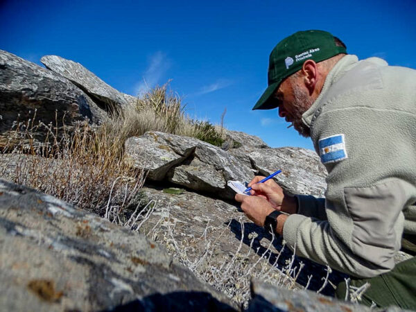 La Iguana de Cobre en Sierra de la Ventana