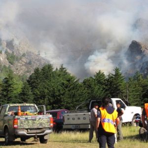 Incendio declarado en el parque tornquist