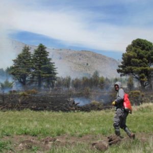 Incendio en el Parque Tornquist