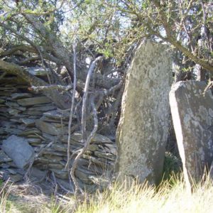 Yacimiento Arqueológico Sierra de la Ventana